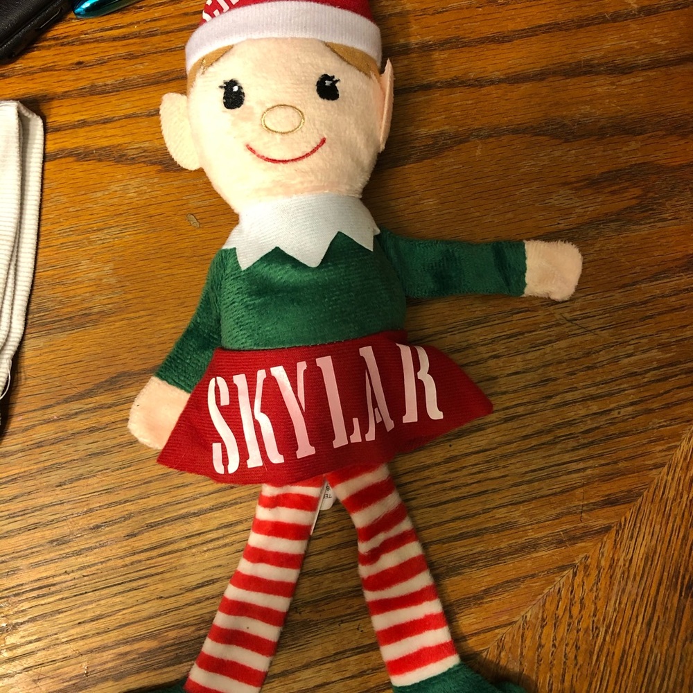 Elf and Santa Cam